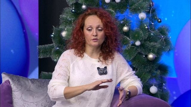 Утро Донбасса 24 декабря 2024г.Знать, чтобы действовать. Взять животное из приюта. Екатерина Гринчук
