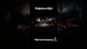 король и шут