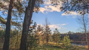 Поехали на рыбалку, но поймали вайб и остались на расслабоне. 02.11.2024