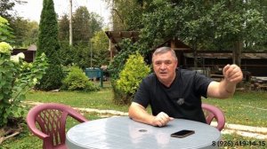 Что делать когда вы уже приобрели щенка