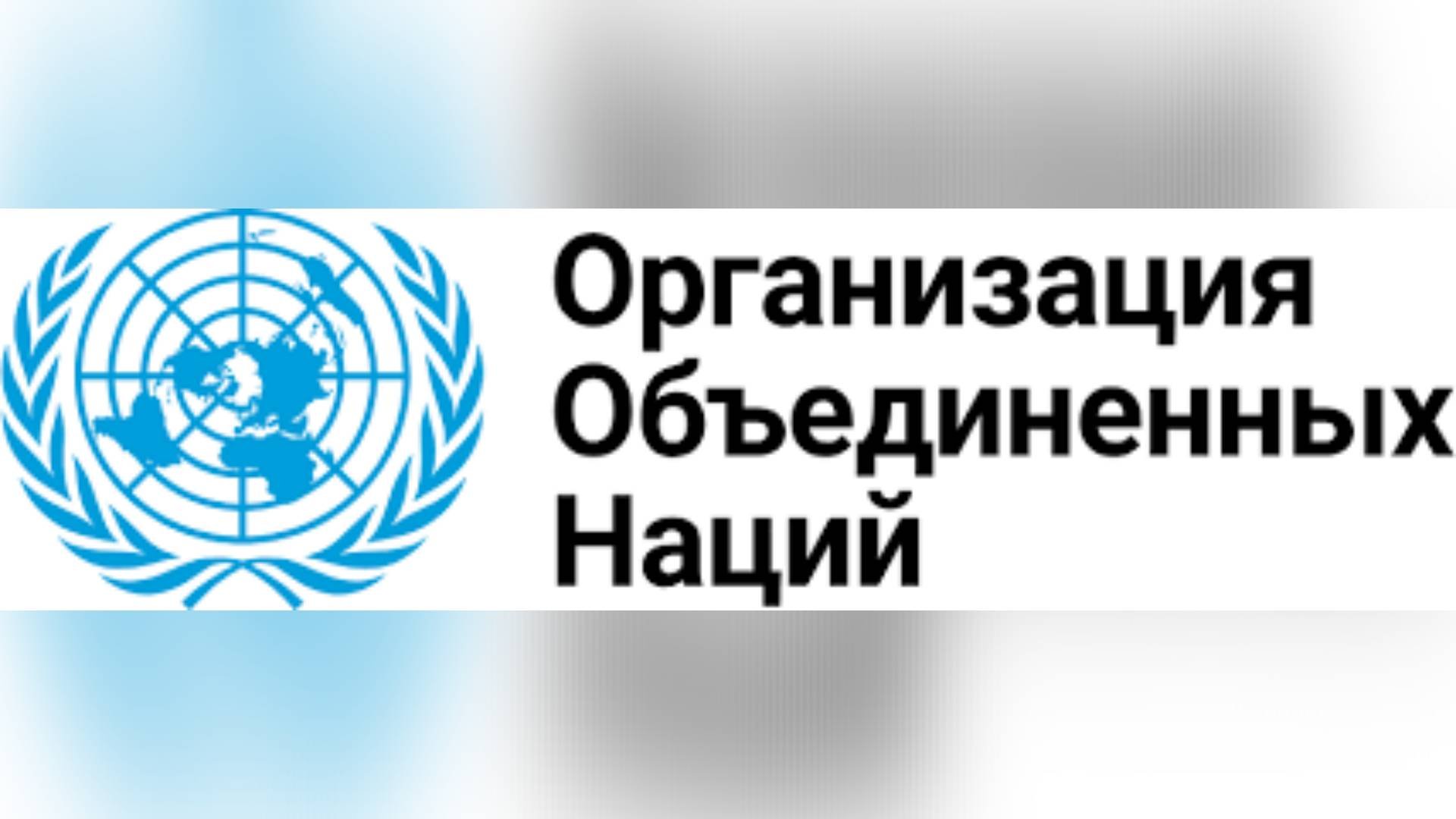 #ВсеобщаяДекларацияПРАВ