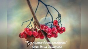 "КРУЖИЛИСЬ БЕЛЫЕ СНЕЖИНКИ" - СТИХИ О ЗИМЕ - ПОЭТ НИНА ИГНАТОВА