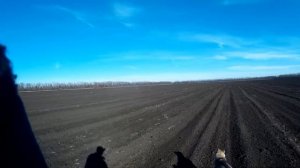 Охота на утку, охота на зайца 2017 и есть трофеи.