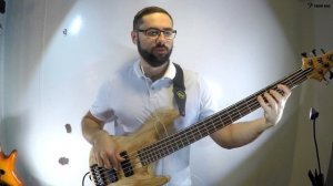 Обзор бас-гитары LTD B-205SM