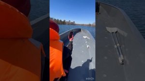 Лодка ПНД 6 метров с тоннелем на моторе 18л.с.