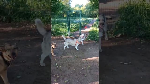 Привет из дома от Эстер ❤️ смотреть онлайн