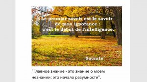 Французский язык по интересным цитатам, часть первая, прогресс и главное знание