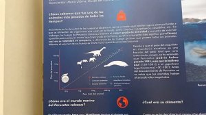 PERUCETUS COLOSSUS (Museo de Historia Natural de la UNMSM)