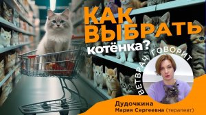 Как выбрать котенка?