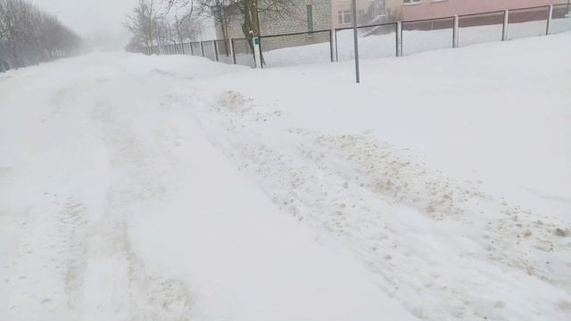 Природные аномалии. Вьюга метель и пурга в Беларусии в феврале.