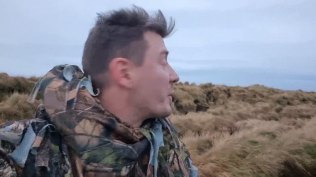 исландия охота на гуся смотреть онлайн