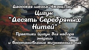Цигун Десять Серебряных Нитей. Часть 1. Демонстрация всего комплекса.