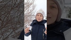 Лайфхак как сохранить особо ценные семена.