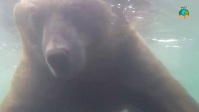 Девушка была обречена, утопая в горной реке, но вдруг увидела чью-то тень! смотреть онлайн