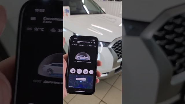 Hyundai Palisade - установили охранный комплекс StarLine S96 GSM, тонировка стекол пленкой хамелеон