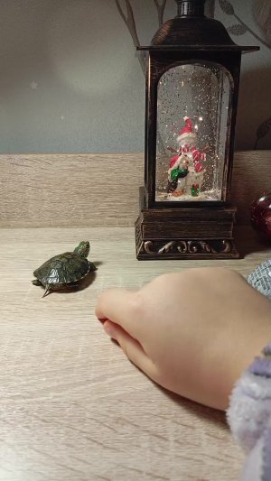 открываю новогодний Киндер вместе с Нюшей 🐢☃️🎇