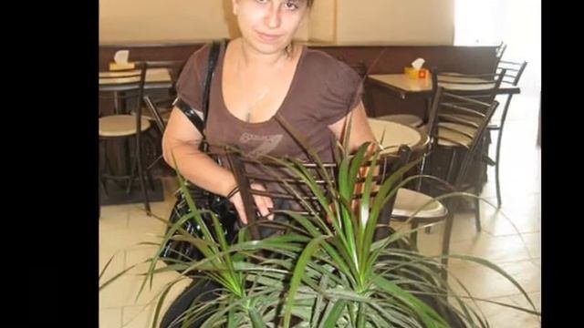 про анюту
