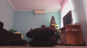 Как увеличить высоту прыжка квд