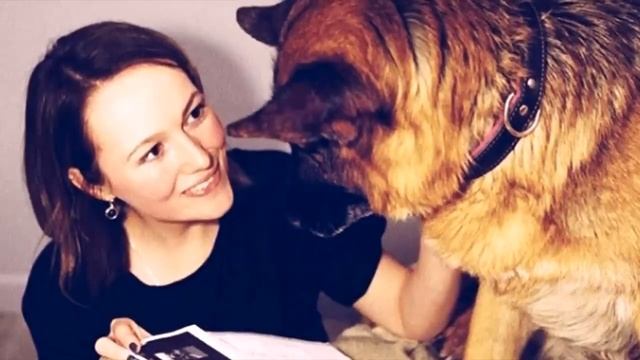 Семейная пара спасла собаку с улицы, а утром их ждал ужасающий сюрприз! смотреть онлайн