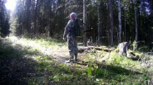 за рябчиком  с сыном.Набрали брусники.