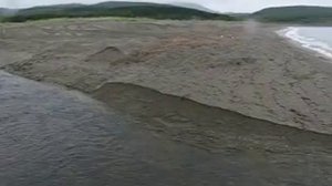 Злые дяденьки не пропускают лосося на нерест...