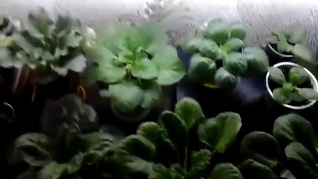 20170709 184110 Небо серое . смотреть онлайн