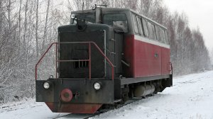 УЖД Васильевского ТУ / Vasilievsky Mokh narrow gauge railway / Torfbahn Wasiljewsky Moch [2007]