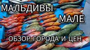 3. Мальдивы. Столица Мале - обзор города и цен.