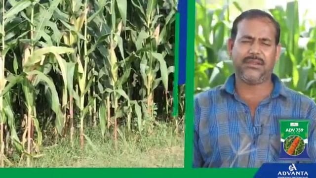 ADVANTA ADV 759 CORN смотреть онлайн