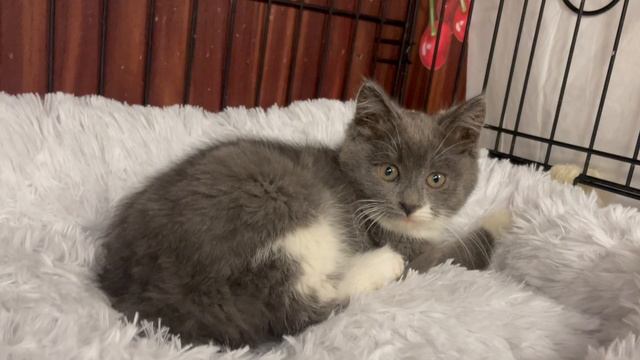 25-12-2024 смотреть онлайн