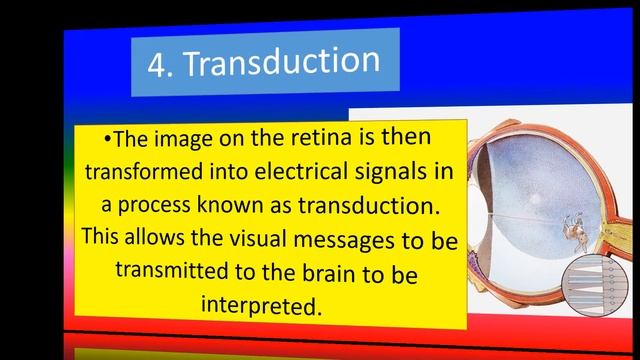 STEPS IN PERCEPTUAL PROCESS - Applied psychology for Nursing