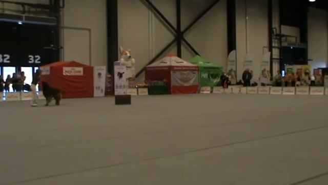 Открытый - Фристайл - Кухарская Наталия и LOVELIENS NIKON OF NORRIS смотреть онлайн