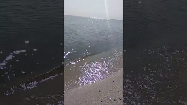 Ейск, лиман- 26 июля 9:00 утра. смотреть онлайн