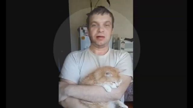 Тот самый Неадекватный Отец, который играл кошкой в боулинг принёс публичные Извинения. Видео смотреть онлайн