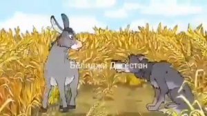 Ахмакь жанавур