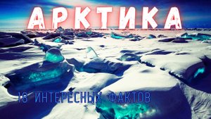 Северный Ледовитый Океан \ Интересные факты \ Планета Земля