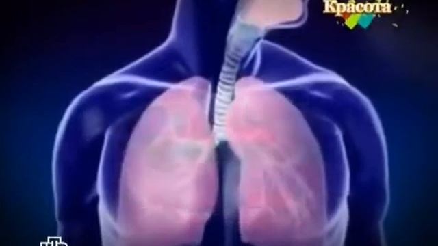 Опасность от бытовой химии смотреть онлайн