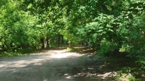 Парк Сосновый бор. Июль 2022.