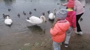 День города 2023 Москва. Бесплатные атракционы. Кате 6 лет, Владе 4 года, Миле 12 лет.