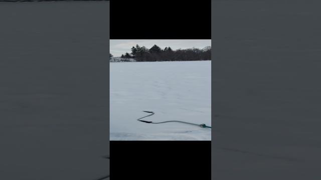 25-12-2024интересный пруд там где Прёт Надеюсь 👍😉😁
