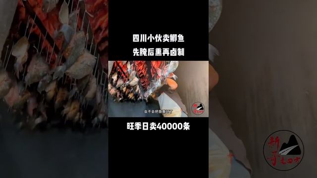 四川小伙卖鲫鱼，先腌后熏再卤制，旺季日卖40000条！ смотреть онлайн