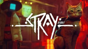 Stray