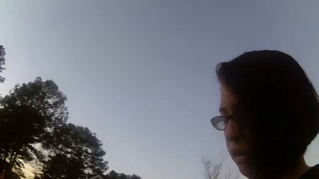 walking my dog EP:2 смотреть онлайн