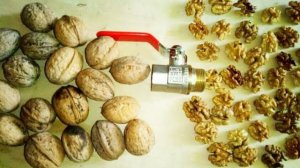 Новый метод колоть орехи с помощью шарового крана!