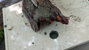 как сделать домик для ящерицы