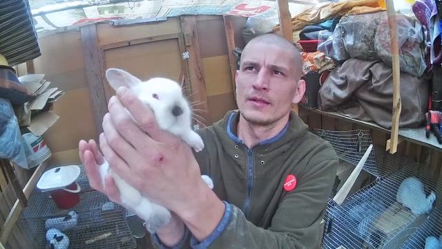 про село - ВЕНТИЛЯЦИЯ в маточник-гнезде для кроликов / СЕЛЬХОЗ-ВЛОГ / живём в деревне / ЛПХ / кфх смотреть онлайн