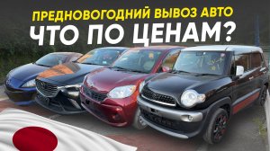 Автомобили из Японии❗️ Стали ли они роскошью в 2024 году⁉️