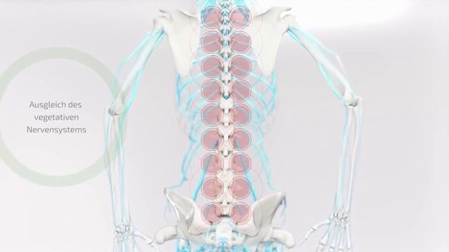 Sissel Spinefitter | Medi-Shop.gr смотреть онлайн