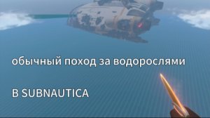 обычный поход за водорослями subnautica