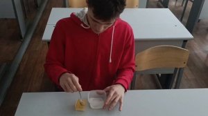 Февральская естественно-научная образовательная программа